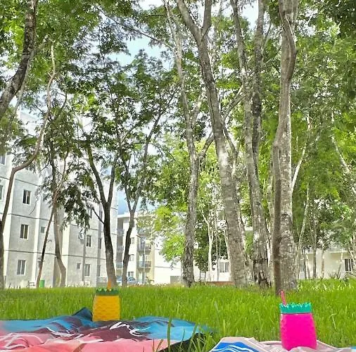 Bonito Departamento Playa/planta Baja Apartamento Playa del Carmen